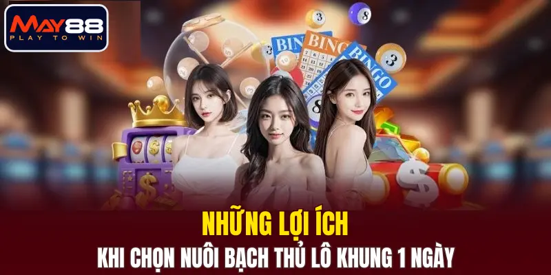 Những lợi ích khi chọn nuôi bạch thủ lô khung 1 ngày